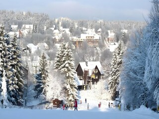 Apartment Hahnenklee Umgebung 29