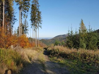 Appartement Hahnenklee Environnement 27