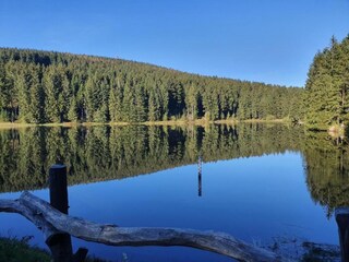 Appartamento Hahnenklee Ambiente 31