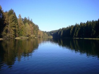 Appartement Hahnenklee Omgeving 20