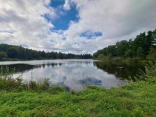 Apartment Hahnenklee Umgebung 31