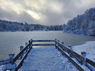 Apartment Hahnenklee Umgebung 33