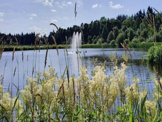 Appartamento Hahnenklee Ambiente 21