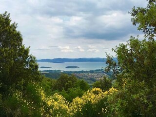 Parc de vacances Tuoro sul Trasimeno Environnement 24