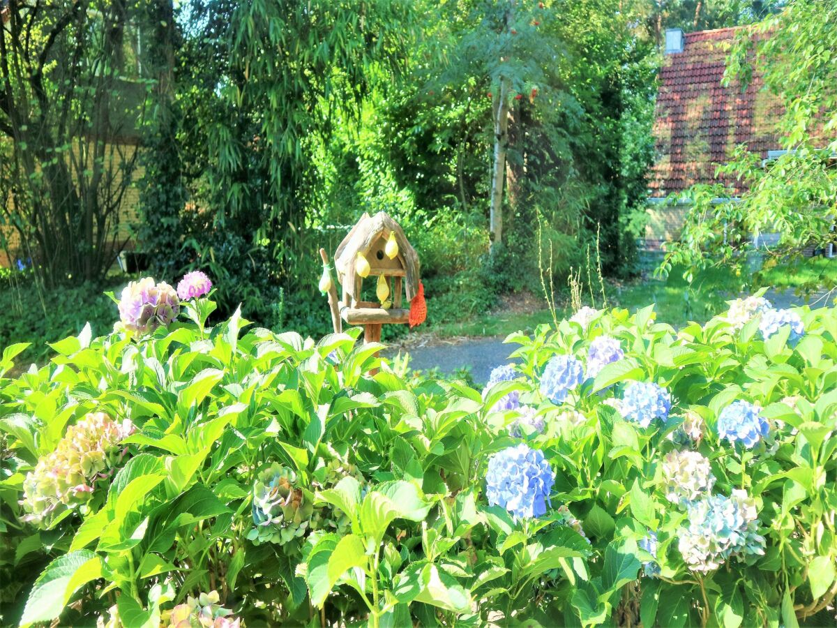 Casa de vacaciones Lemele Grabación al aire libre 1