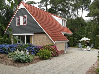 Ferienhaus Lemele Außenaufnahme 8