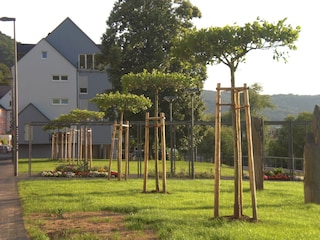 Unser Ferienhaus vom neuen Stadtpark aus gesehen