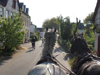 Kutschfahrt durch die Moseldörfer