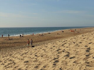 Hossegor - Côte sauvage