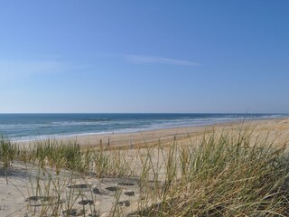 Casa per le vacanze Vieux-Boucau-les-Bains Ambiente 16
