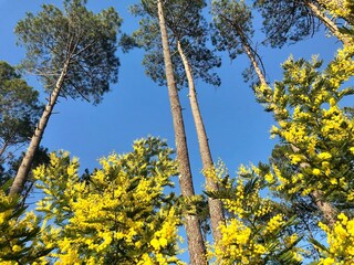 Casa per le vacanze Vieux-Boucau-les-Bains Ambiente 24