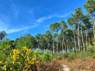 Vakantiehuis Vieux-Boucau-les-Bains Omgeving 25