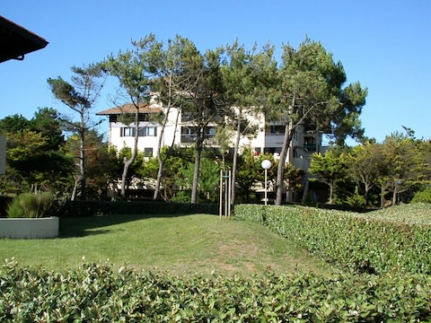 Appartamento per vacanze SP3