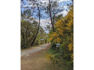 Vakantiehuis Labenne Omgeving 26