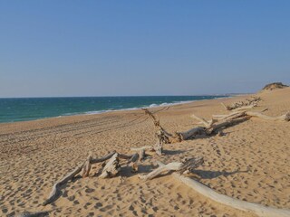 Casa per le vacanze Labenne Ambiente 29