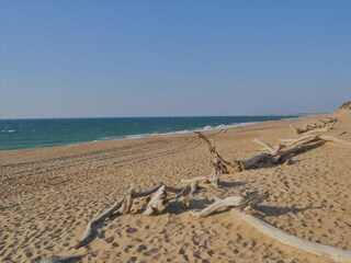Casa per le vacanze Labenne Ambiente 34