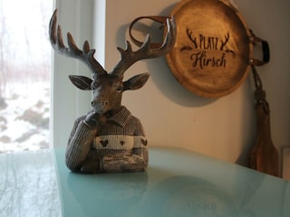 Ferienhaus Hohegeiß Ausstattung 17