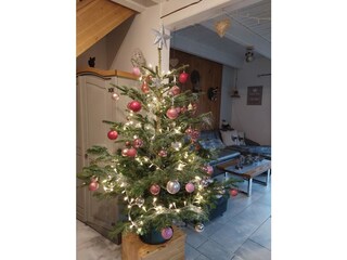 Weihnachten 2025: Durch Storno wieder verfügbar