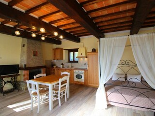 Villa Castel Focognano Caratteristiche 16