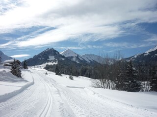 Eggloipe direkt hinterm Haus