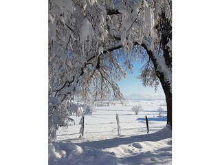 Winterlandschaft