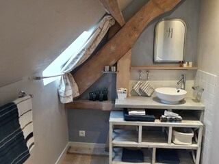 Casa per le vacanze Brévands Caratteristiche 13