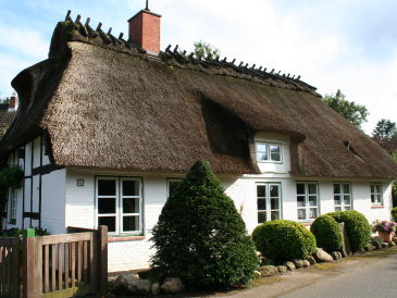 Ferienhaus "Dörphus unter Reet"