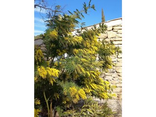 Appartamento per vacanze Jouques Registrazione all'aperto 8