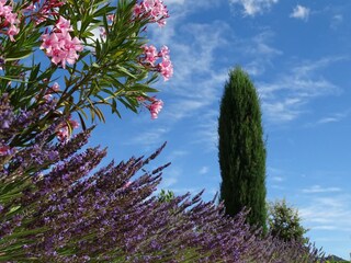 Appartamento per vacanze Jouques Registrazione all'aperto 9