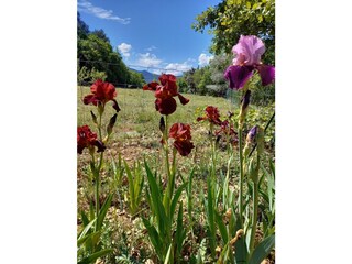 Appartamento per vacanze Jouques Registrazione all'aperto 15