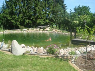 Schwimmteich