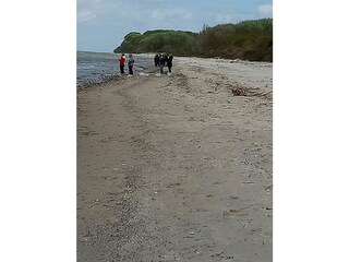 Strand in Groß Schwansee