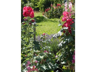 Gartenimpression, Haus Anton Obermaiselstein