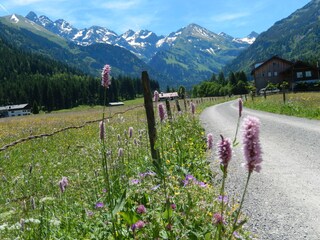 auf dem Weg in die Birgsau