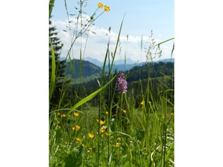 auf dem Weg zum Riedbergerhorn