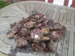 Casa per le vacanze Côtes d'Armor Ambiente 31