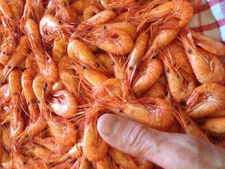 Casa per le vacanze Côtes d'Armor Ambiente 33