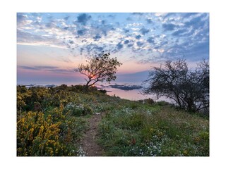 Casa per le vacanze Côtes d'Armor Ambiente 21