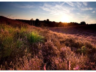 Holiday house Voorthuizen Environment 30