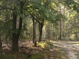 Casa per le vacanze Voorthuizen Ambiente 29