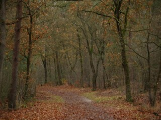 Casa de vacaciones Voorthuizen Entorno 29