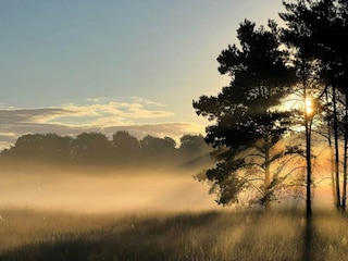 Casa de vacaciones Voorthuizen Entorno 22