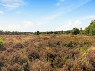 Vakantiehuis Voorthuizen Omgeving 24