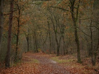 Maison de vacances Voorthuizen Environnement 23