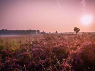 Vakantiehuis Voorthuizen Omgeving 25