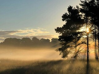 Vakantiehuis Voorthuizen Omgeving 34