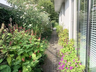 Villa Biddinghuizen Entorno 31