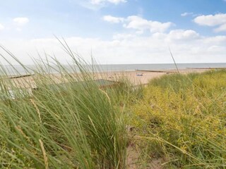 Apartment Zoutelande Umgebung 28