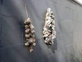 Casa per le vacanze Kamperland  51