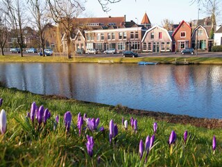 Vakantiehuis Koedijk Buitenaudio-opname 2